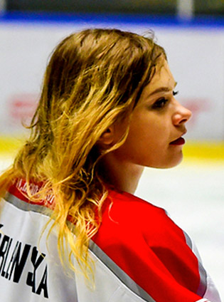 Image hover effect image